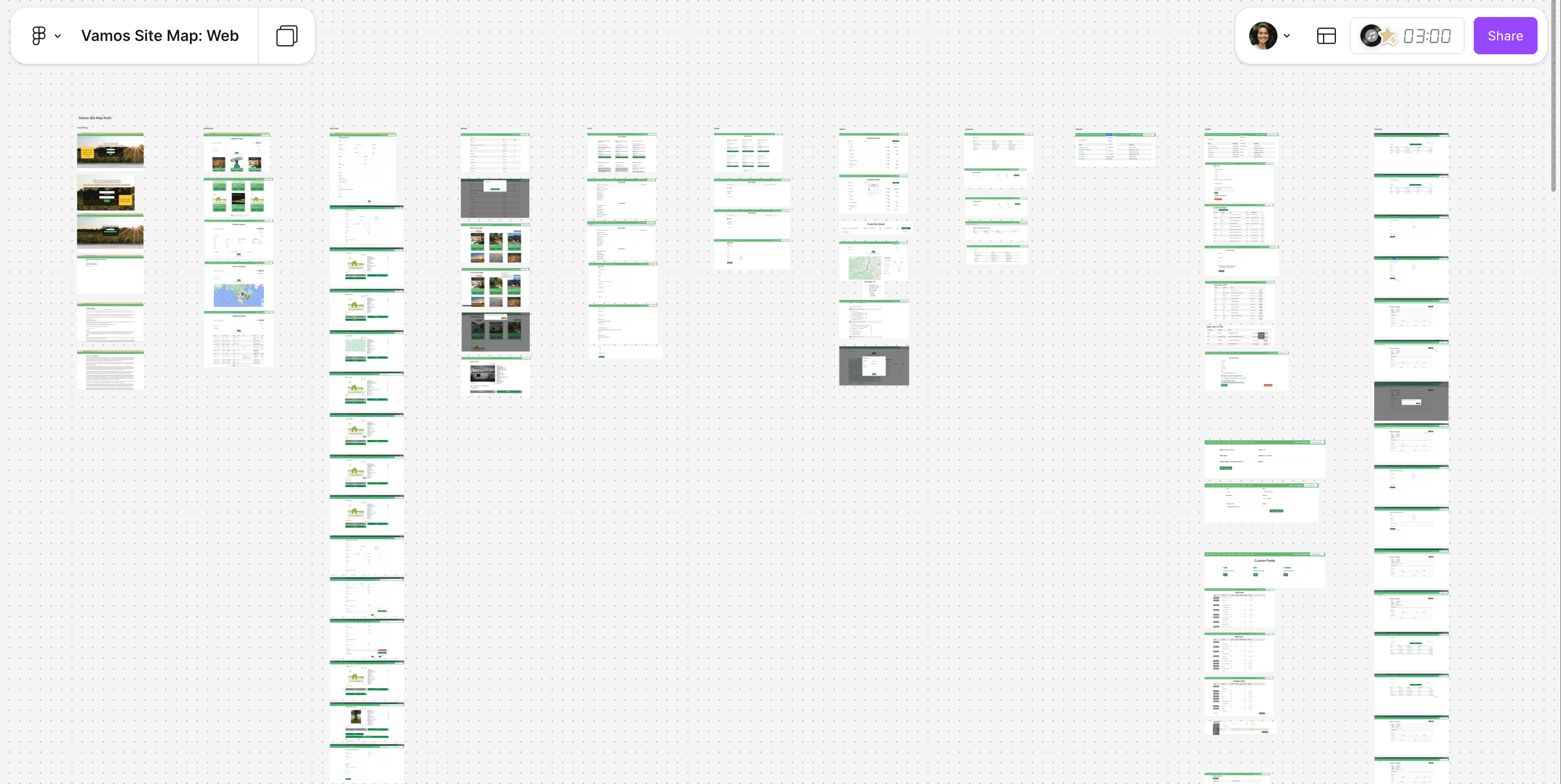 Audit of the existing Vamos web experience cataloging gaps and drift.