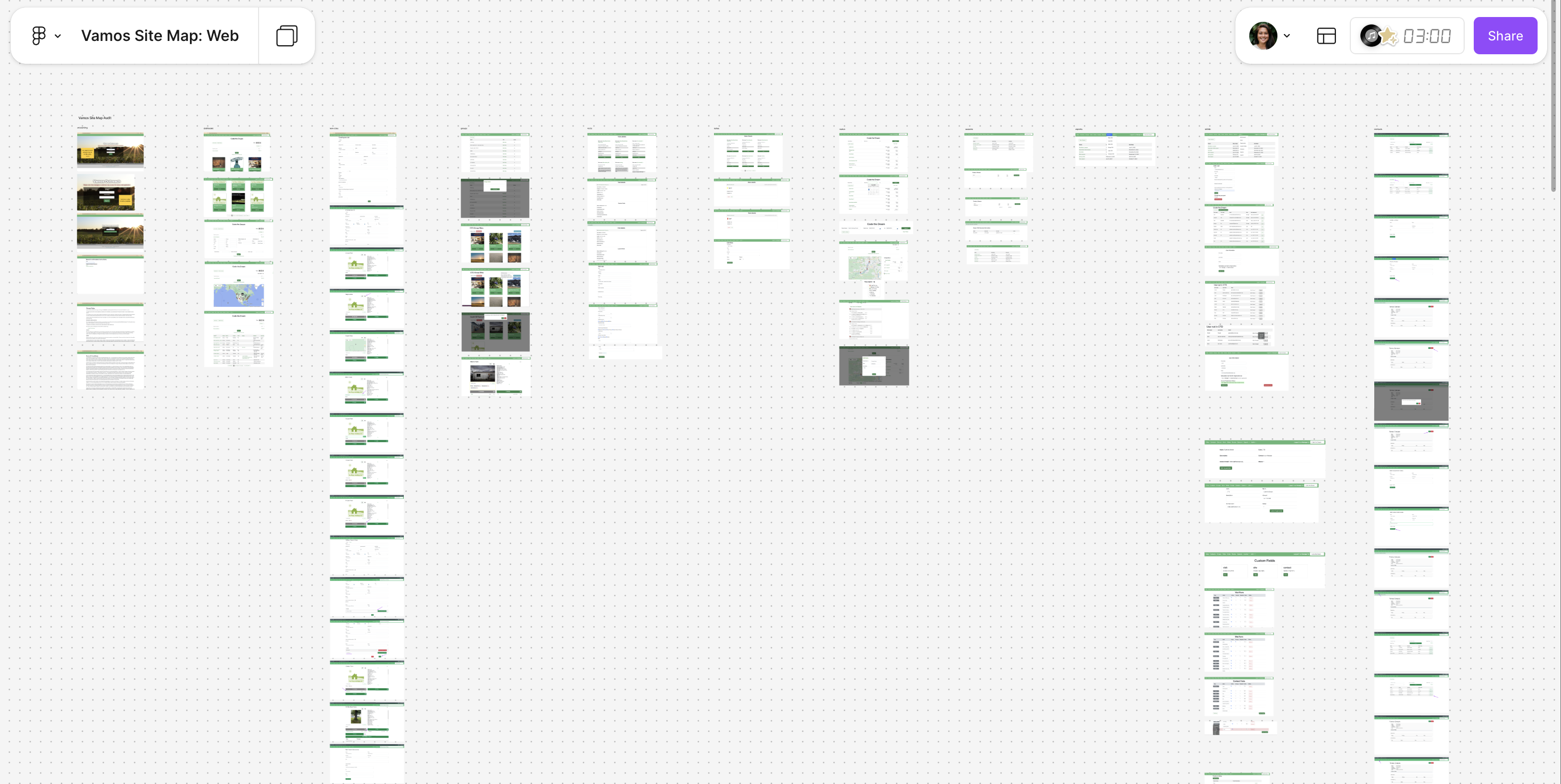 Audit of the existing Vamos web experience cataloging gaps and drift.
